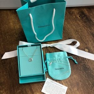 💎👑Tiffany & Co. Necklace & extra chain💎👑